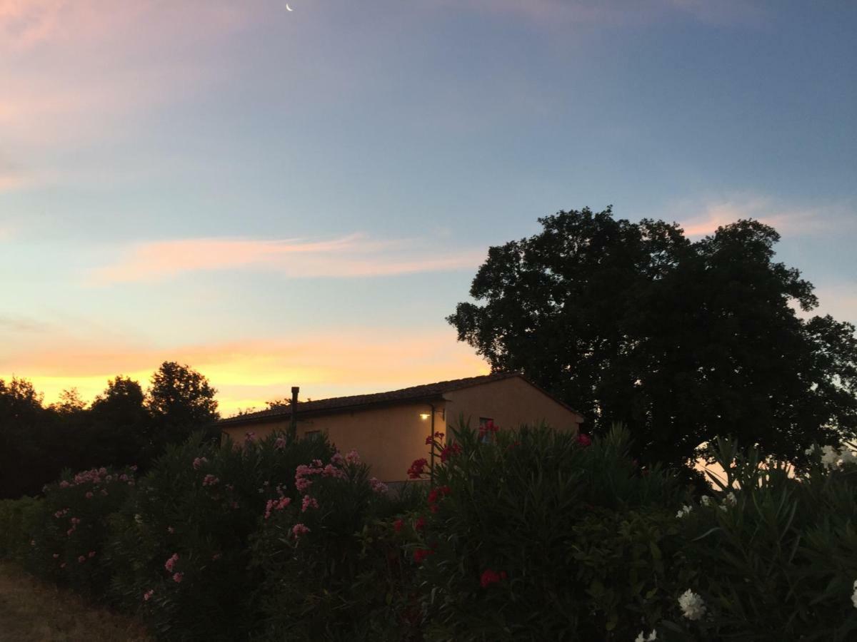 Agriturismo Pieve De Pitti Terricciola Bagian luar foto