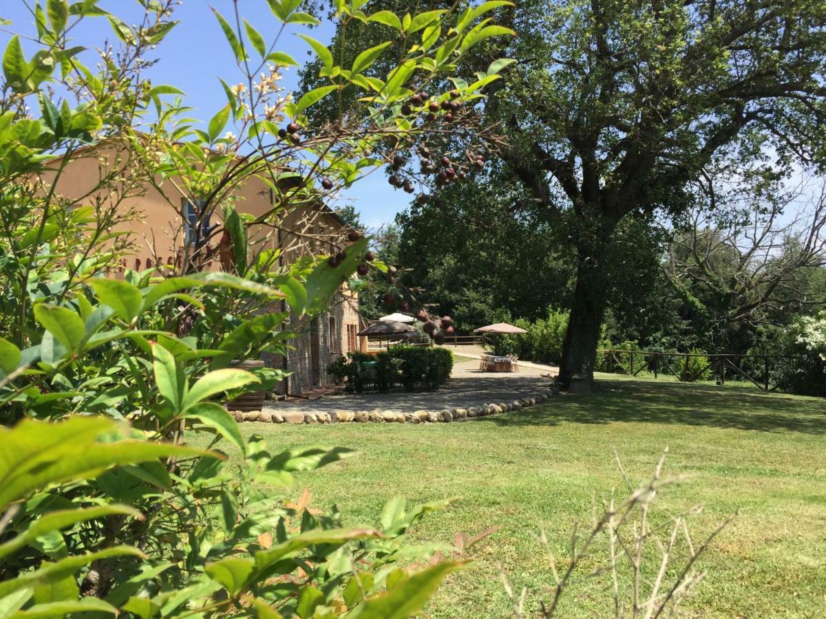Agriturismo Pieve De Pitti Terricciola Bagian luar foto