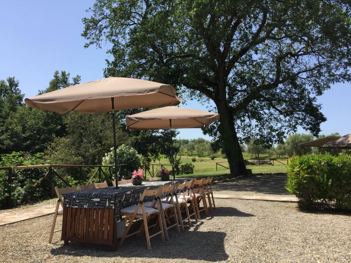 Agriturismo Pieve De Pitti Terricciola Bagian luar foto