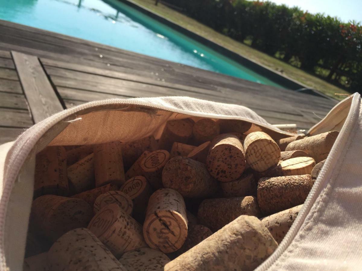 Agriturismo Pieve De Pitti Terricciola Bagian luar foto