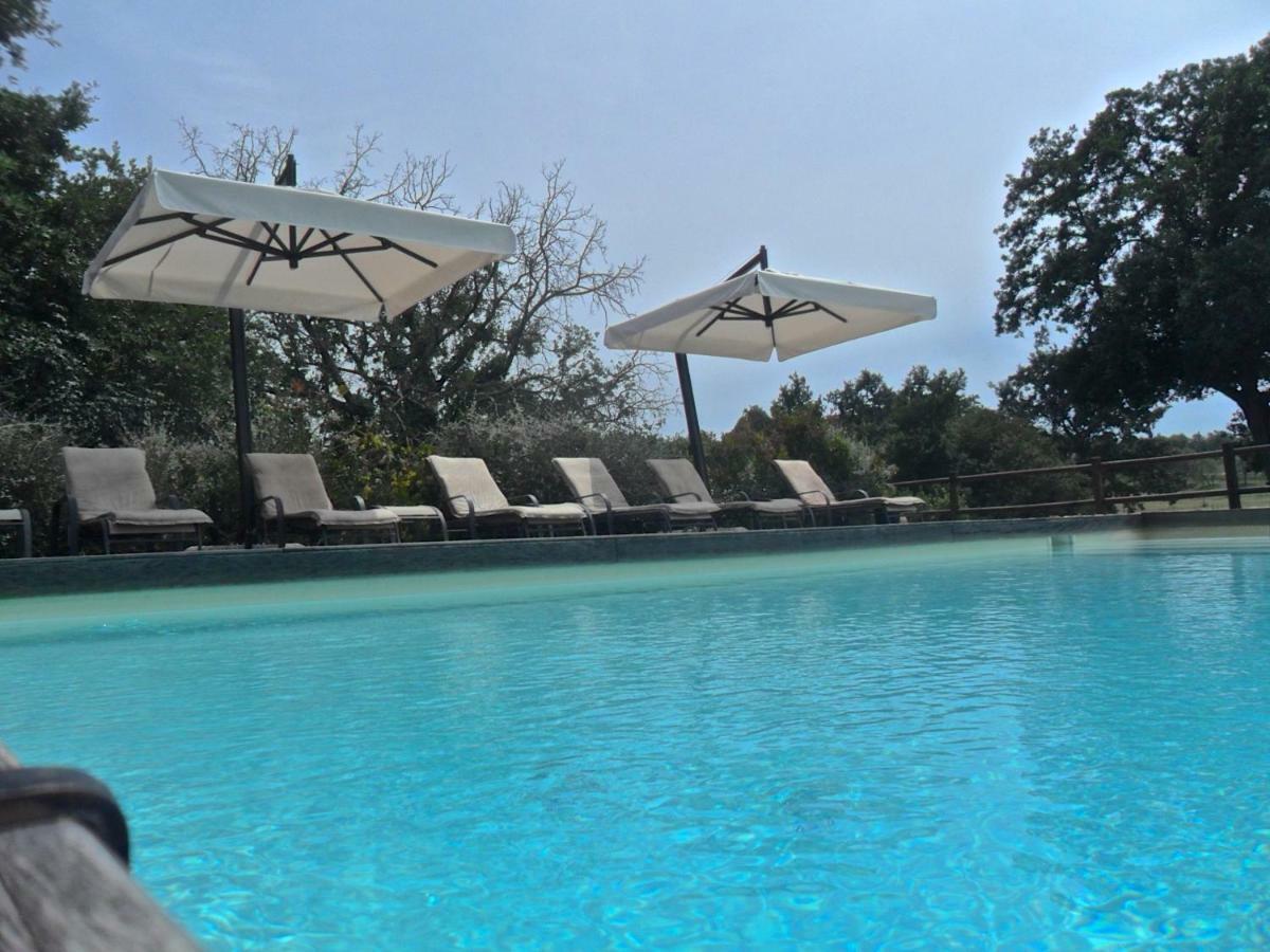 Agriturismo Pieve De Pitti Terricciola Bagian luar foto